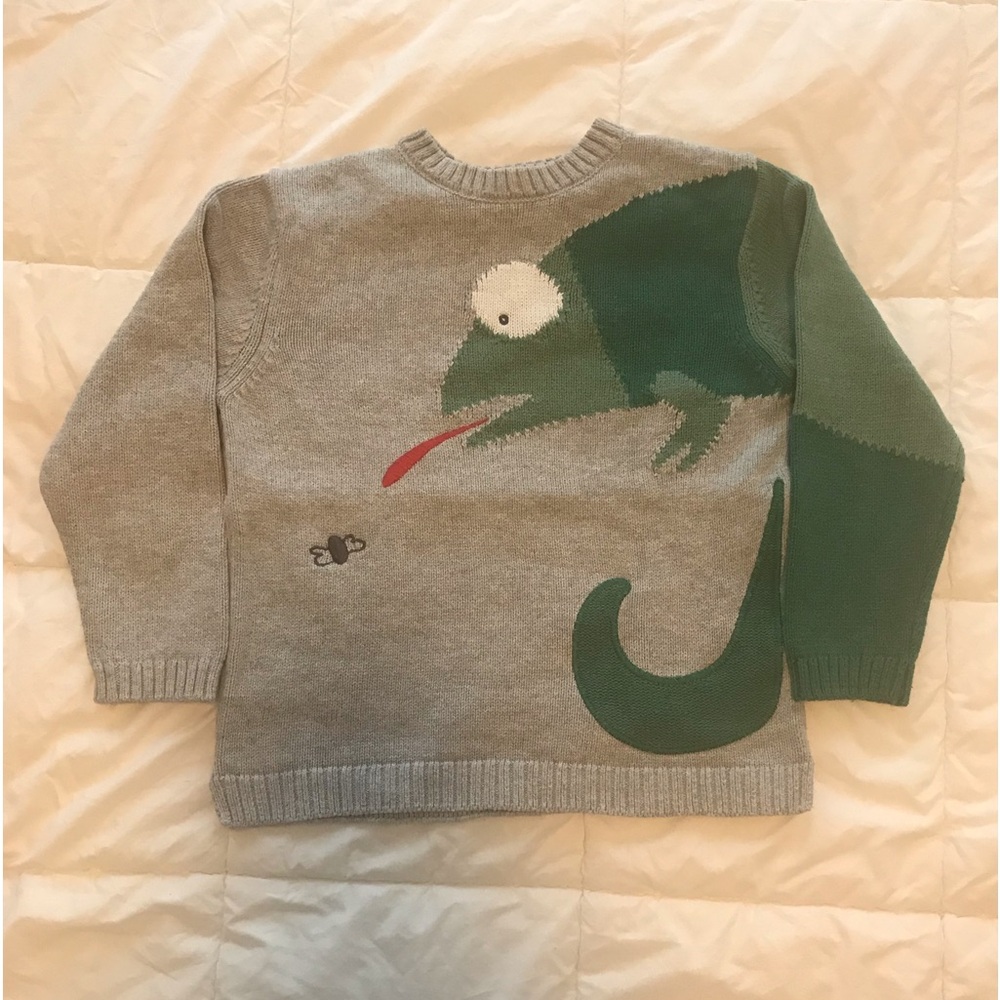 Fun Lizard Sweater for Baby Size 3 Years
